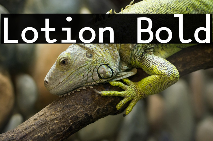 Lotion Bold Example 2