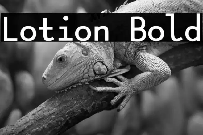 Lotion Bold Font examples