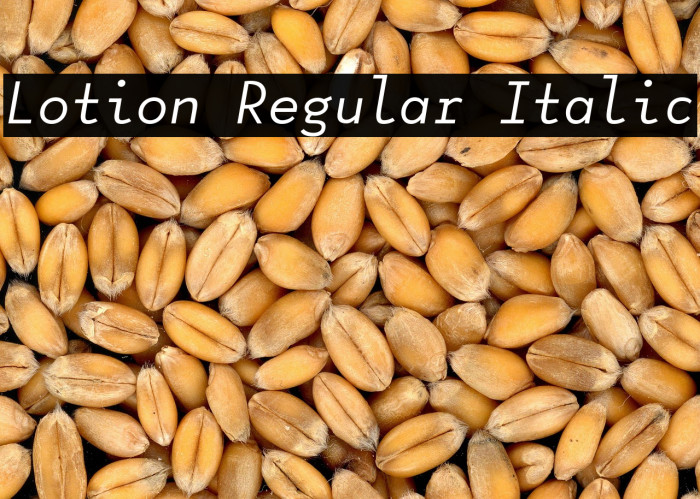 Lotion Regular Italic Example 2
