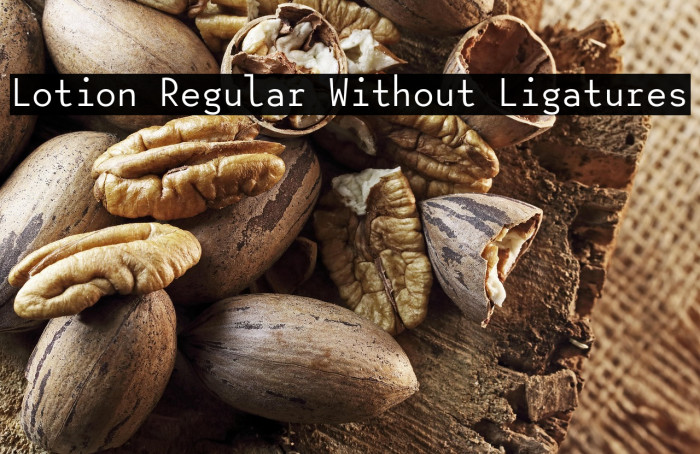 Lotion Regular Without Ligatures Example 1