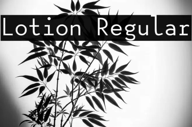Lotion Regular Caratteri examples