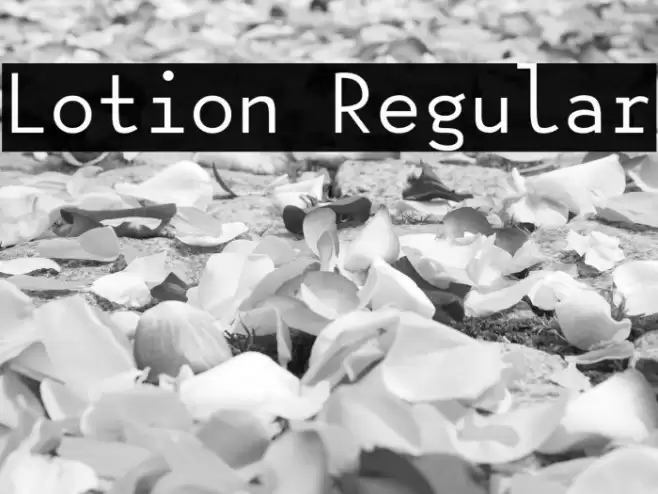 Lotion Regular Caratteri examples