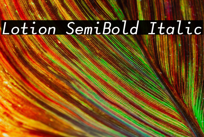 Lotion SemiBold Italic Example 1