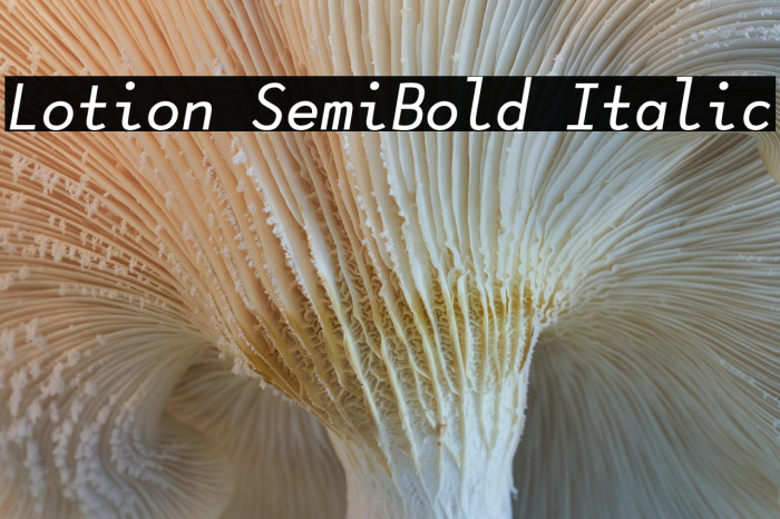 Lotion SemiBold Italic Example 3