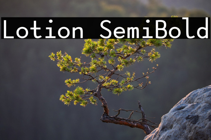 Lotion SemiBold Example 1