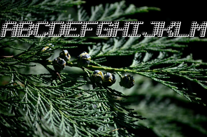 LotsOfDotz Example 2