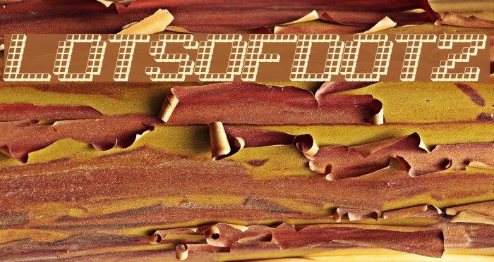 LotsOfDotz Font examples