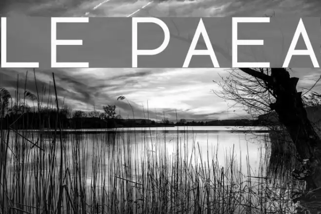 Lotte Paperfang Example 1