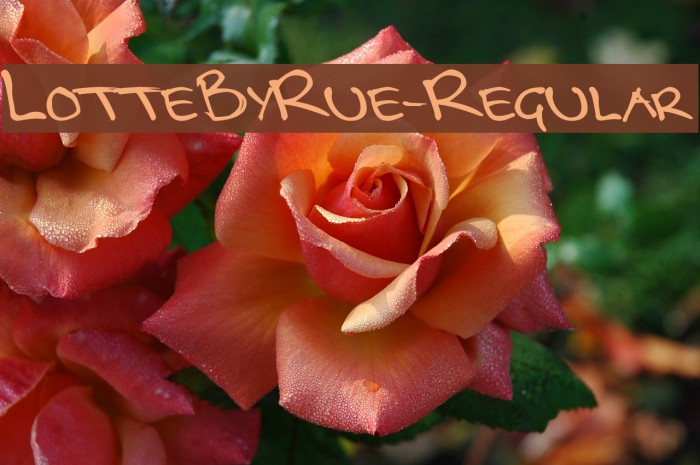 LotteByRue-Regular Example 1