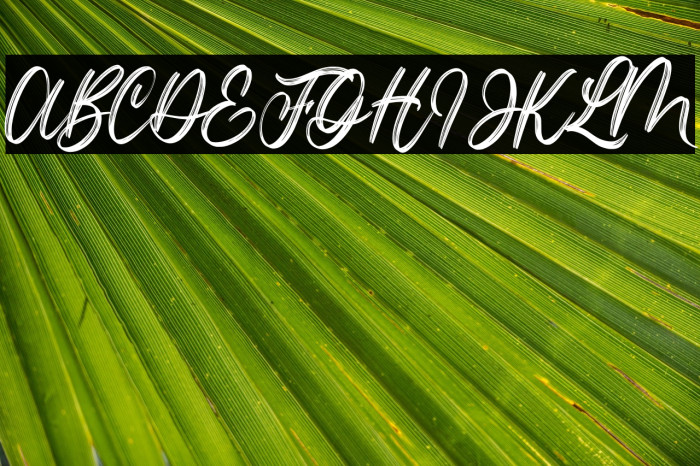 Lotterdam Demo Example 2