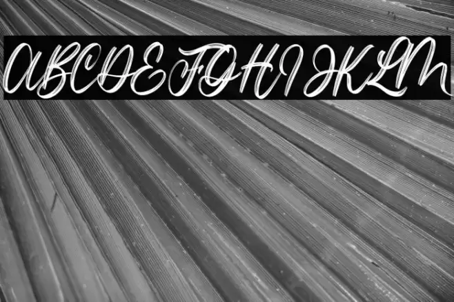 Lotterdam Demo Font examples