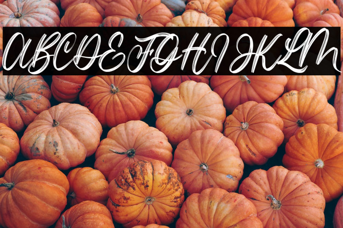 Lotterdam Demo Example 3