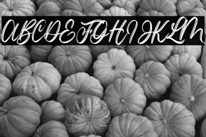 Lotterdam Demo Font examples