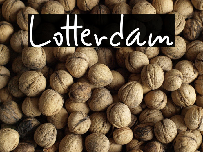 Lotterdam Example 3