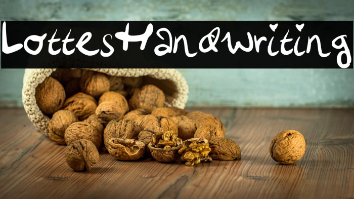 LottesHandwriting Example 3