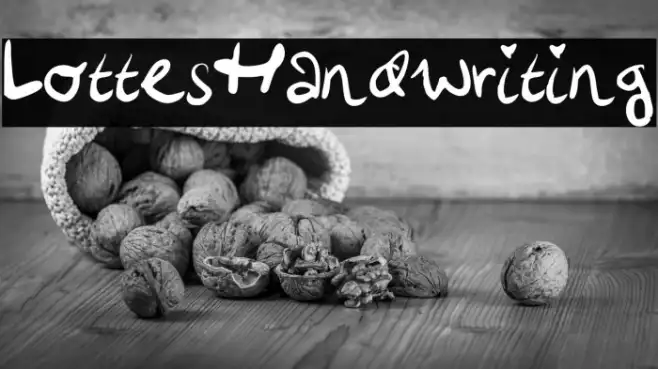 LottesHandwriting Example 3