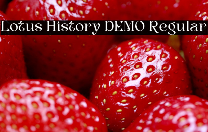 Lotus History DEMO Regular Example 3