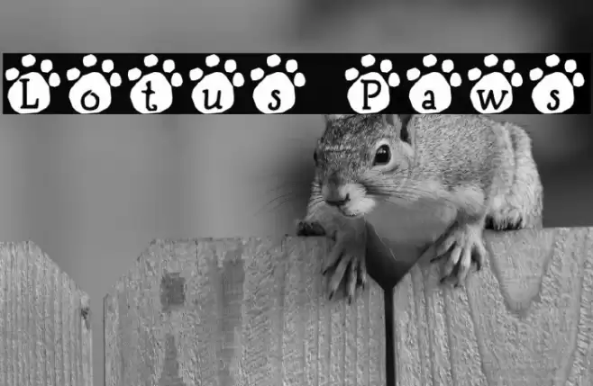 Lotus Paws Font examples