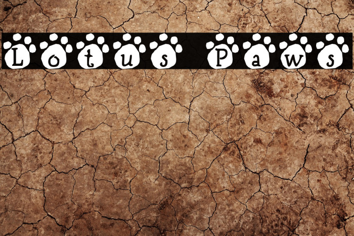 Lotus Paws Example 2