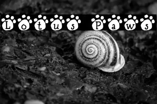 Lotus Paws Font examples