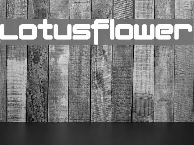 Lotusflower Font examples