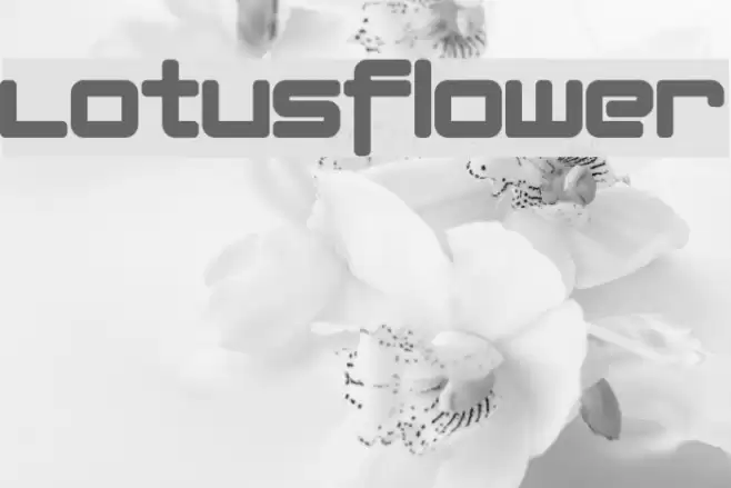 Lotusflower Font examples