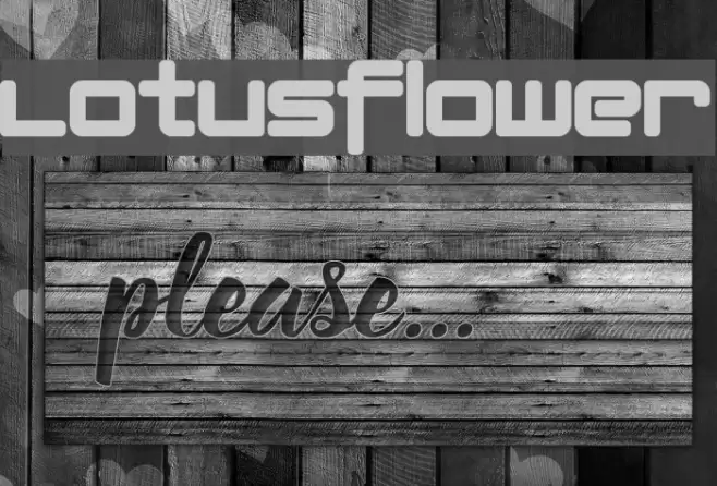 Lotusflower Font examples