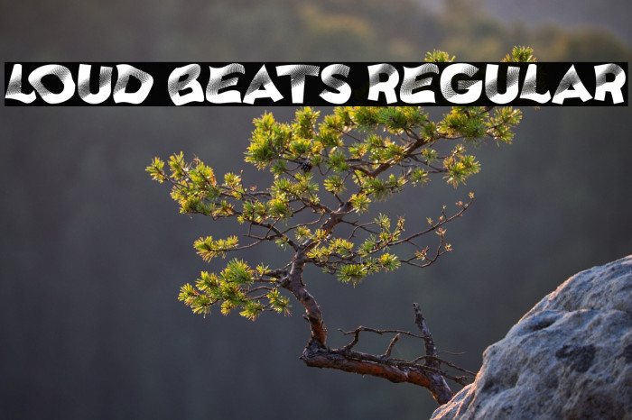 Loud Beats Regular Example 3