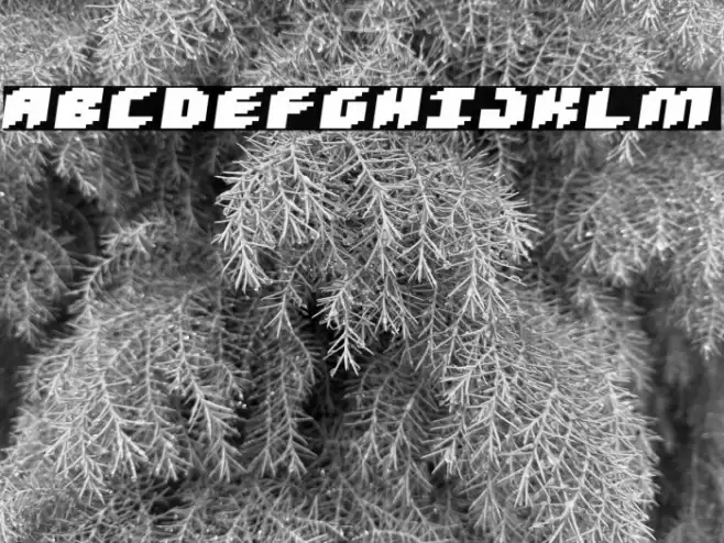 Loud noise Black Skew Font examples