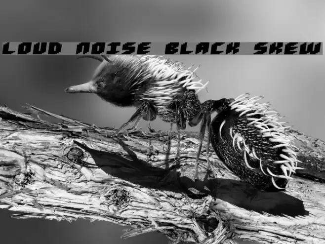 Loud noise Black Skew Font examples