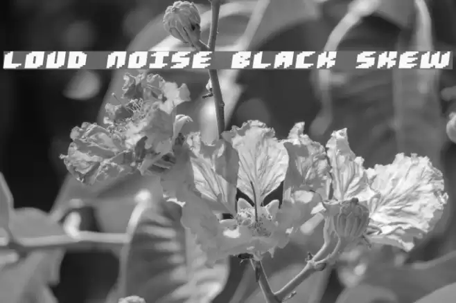 Loud noise Black Skew Font examples