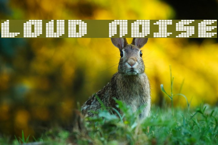 Loud noise Font examples