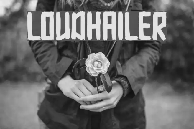 Loudhailer Example 1