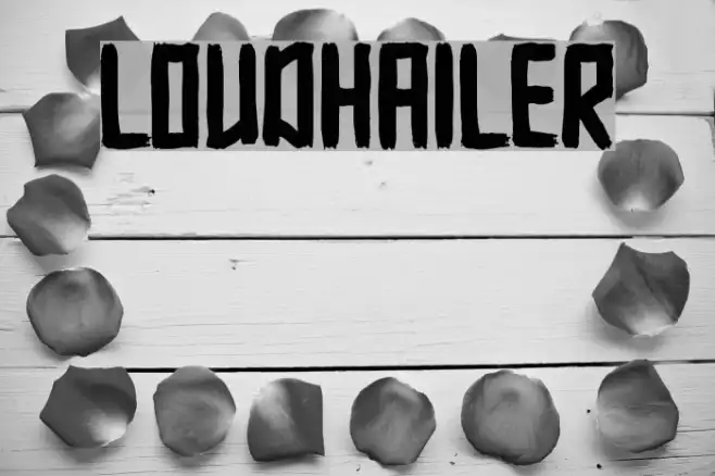 Loudhailer Example 2