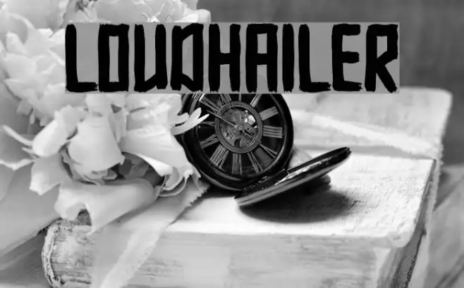 Loudhailer Example 3