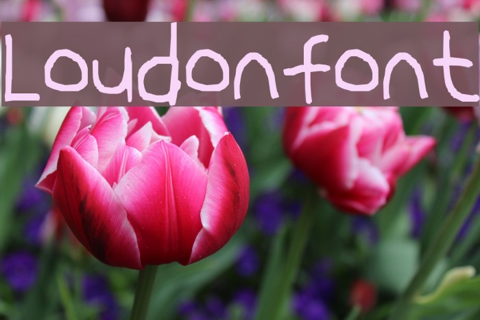 Loudonfont Font examples