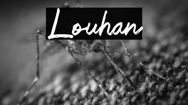 Louhan Example 2