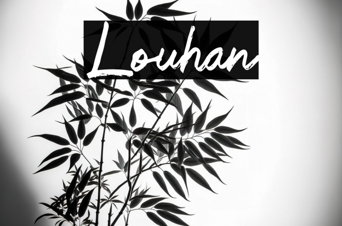 Louhan Example 3