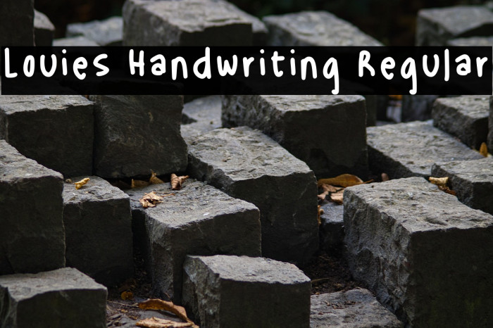 Louies Handwriting Regular Example 1