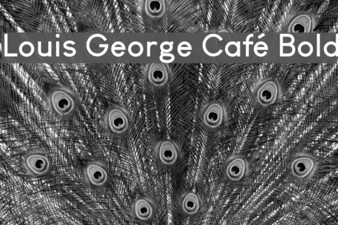 Louis George Café Bold Font examples