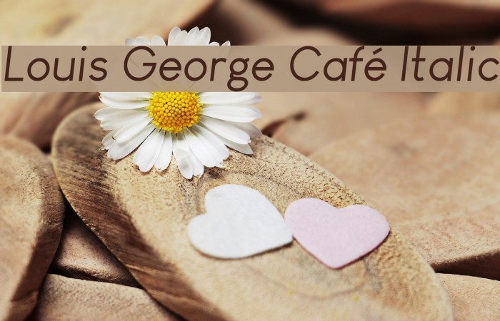 Louis George Café Italic Font examples