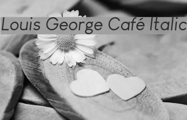 Louis George Café Italic Example 2