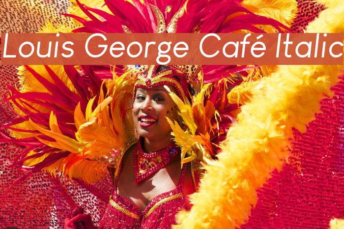 Louis George Café Italic Font examples
