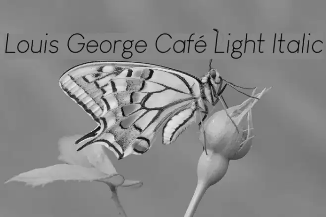 Louis George Café Light Italic Шрифта examples