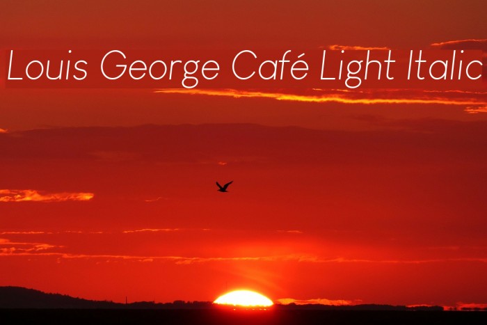 Louis George Café Light Italic Font examples