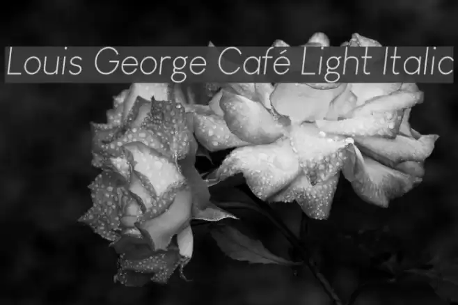 Louis George Café Light Italic Шрифта examples
