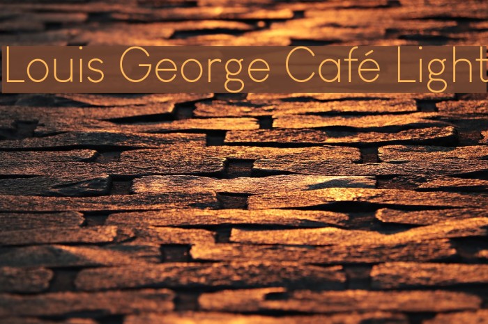 Louis George Café Light Font examples