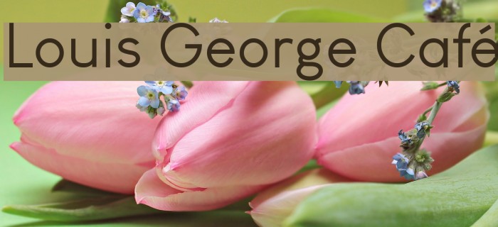 Louis George Café Font examples