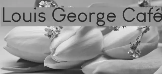 Louis George Café Example 2