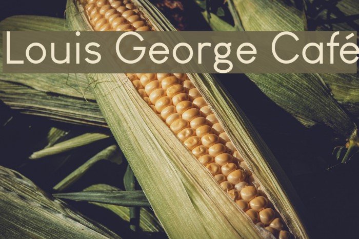 Louis George Café Font examples